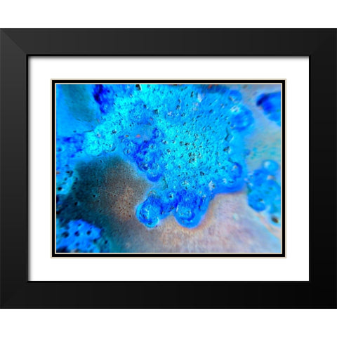 Blue Oxide Black Modern Wood Framed Art Print with Double Matting by Grayscale