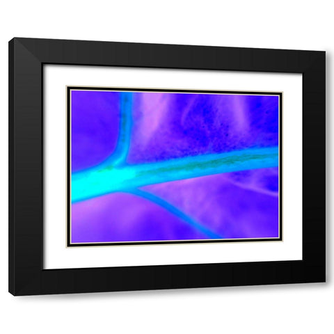Energy Connection I Black Modern Wood Framed Art Print with Double Matting by Grayscale