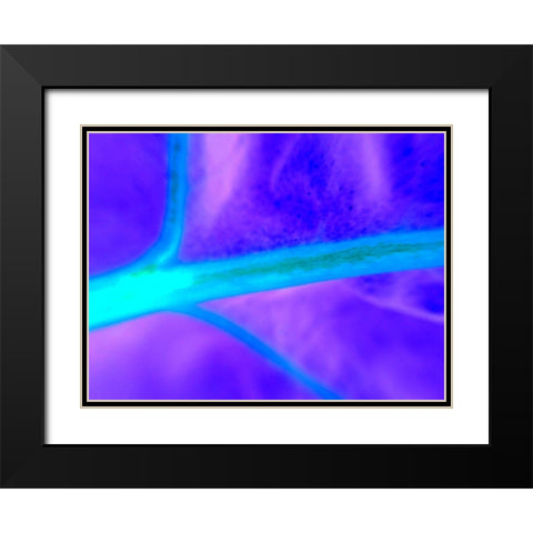 Energy Connection I Black Modern Wood Framed Art Print with Double Matting by Grayscale
