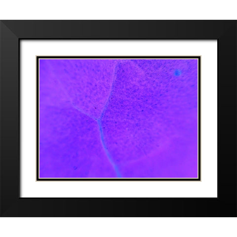 Energy Connection III Black Modern Wood Framed Art Print with Double Matting by Grayscale