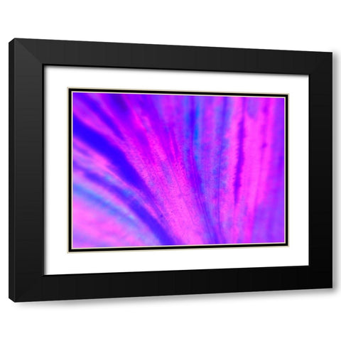 Energy Connection IV Black Modern Wood Framed Art Print with Double Matting by Grayscale