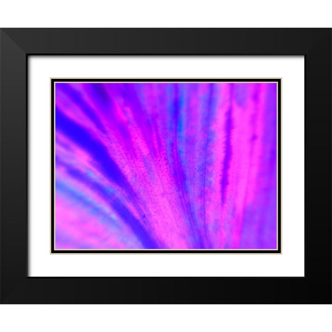 Energy Connection IV Black Modern Wood Framed Art Print with Double Matting by Grayscale