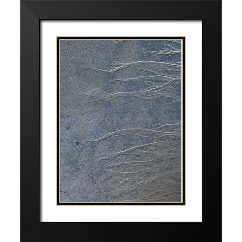 Sand Fibers I Black Modern Wood Framed Art Print with Double Matting by Grayscale