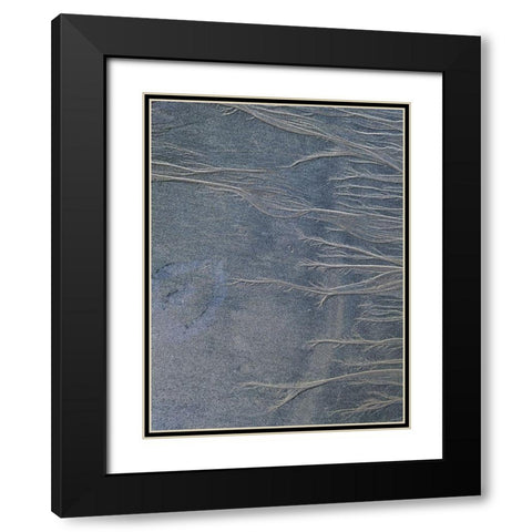 Sand Fibers II Black Modern Wood Framed Art Print with Double Matting by Grayscale