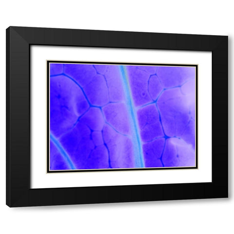 Turquoise Ridge I Black Modern Wood Framed Art Print with Double Matting by Grayscale