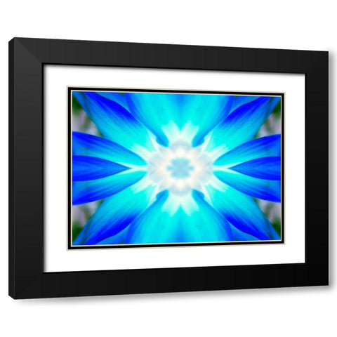 Flower Medallion V Black Modern Wood Framed Art Print with Double Matting by Grayscale