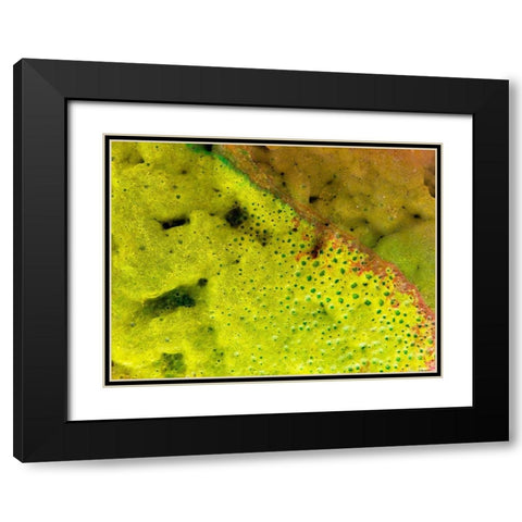 BioRidge I Black Modern Wood Framed Art Print with Double Matting by Grayscale