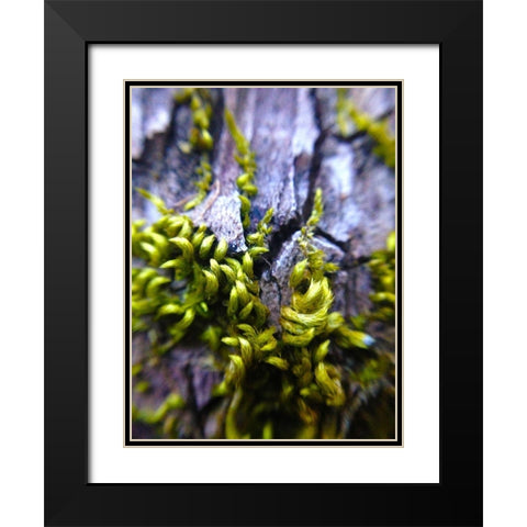 Bark Hair I Black Modern Wood Framed Art Print with Double Matting by Grayscale