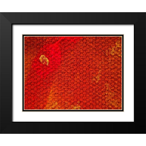 Canvas Closeup III Black Modern Wood Framed Art Print with Double Matting by Grayscale