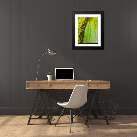 Canvas Closeup V Black Modern Wood Framed Art Print with Double Matting by Grayscale