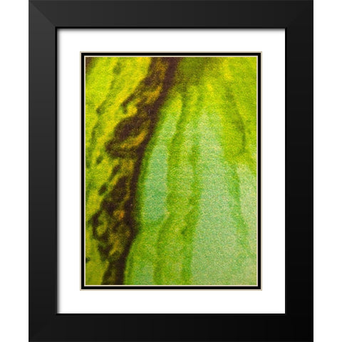 Canvas Closeup V Black Modern Wood Framed Art Print with Double Matting by Grayscale