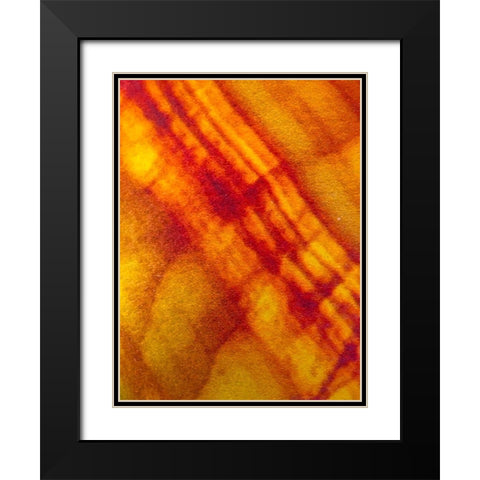 Canvas Closeup VI Black Modern Wood Framed Art Print with Double Matting by Grayscale