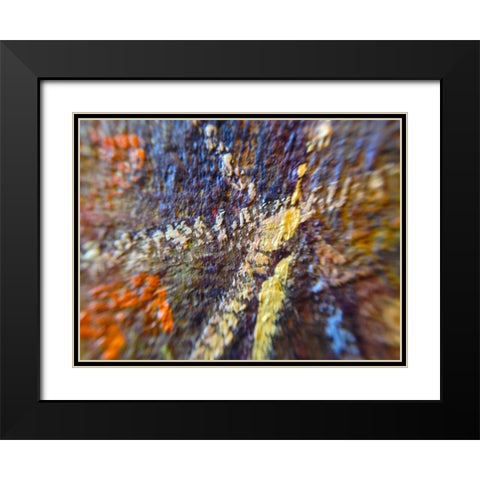 Paint Closeup IX Black Modern Wood Framed Art Print with Double Matting by Grayscale