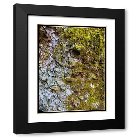Bark and Moss I Black Modern Wood Framed Art Print with Double Matting by Grayscale