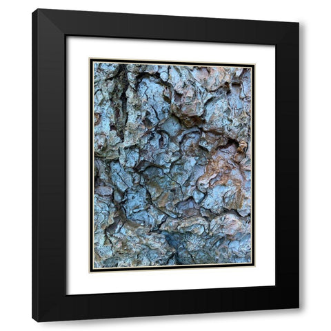 Bark Scales I Black Modern Wood Framed Art Print with Double Matting by Grayscale