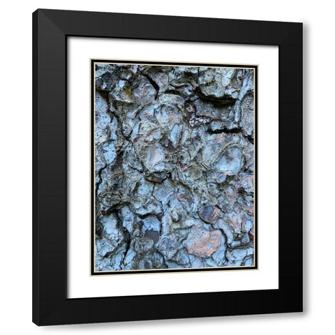 Bark Scales II Black Modern Wood Framed Art Print with Double Matting by Grayscale