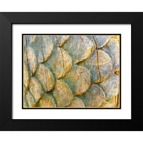 Wooden Scales I Black Modern Wood Framed Art Print with Double Matting by Grayscale