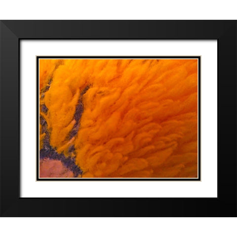 Orange Furry I Black Modern Wood Framed Art Print with Double Matting by Grayscale