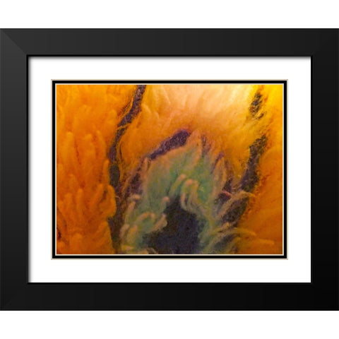 Orange Furry II Black Modern Wood Framed Art Print with Double Matting by Grayscale