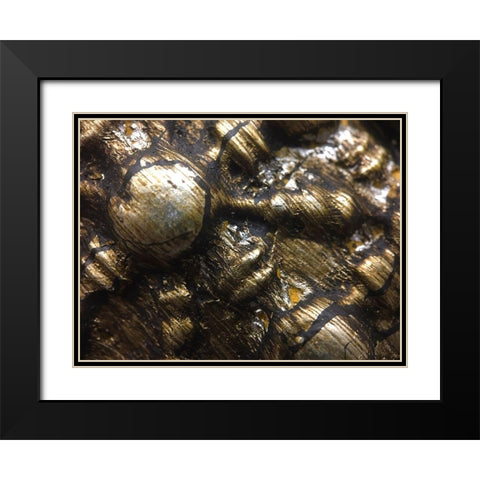 Frame Pic IV Black Modern Wood Framed Art Print with Double Matting by Grayscale