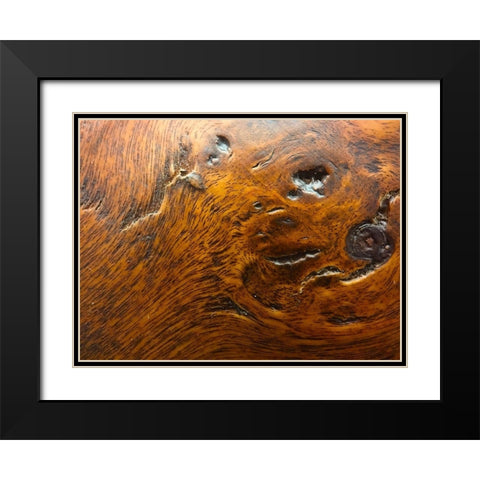 Wood Texture III Black Modern Wood Framed Art Print with Double Matting by Grayscale