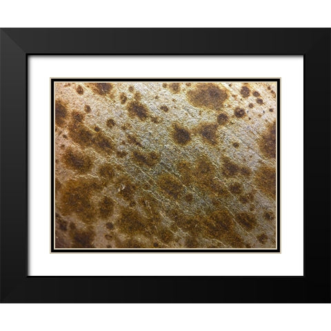 Silver Texture I Black Modern Wood Framed Art Print with Double Matting by Grayscale