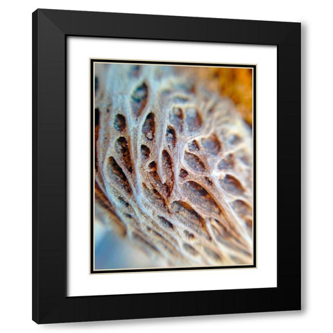 Fibers I Black Modern Wood Framed Art Print with Double Matting by Grayscale