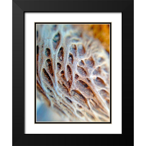 Fibers I Black Modern Wood Framed Art Print with Double Matting by Grayscale