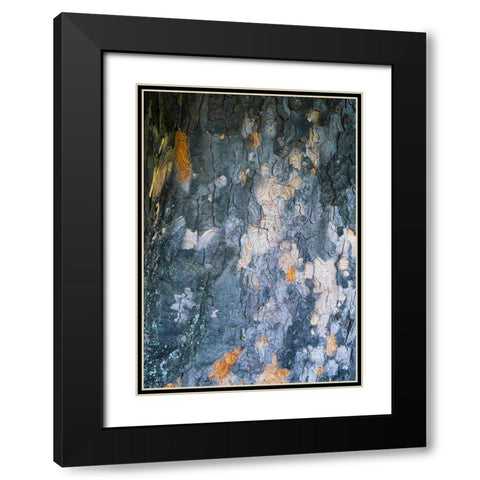 Bark Scales IV Black Modern Wood Framed Art Print with Double Matting by Grayscale