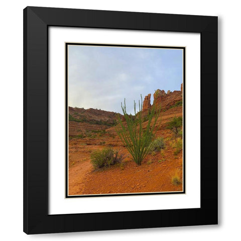 Sedona I Black Modern Wood Framed Art Print with Double Matting by Grayscale