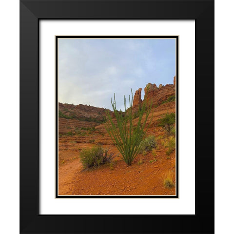 Sedona I Black Modern Wood Framed Art Print with Double Matting by Grayscale