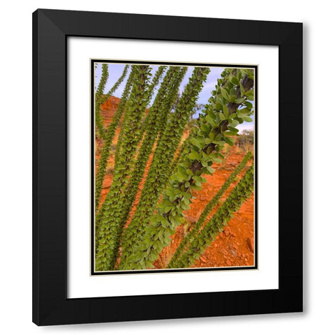 Sedona III Black Modern Wood Framed Art Print with Double Matting by Grayscale