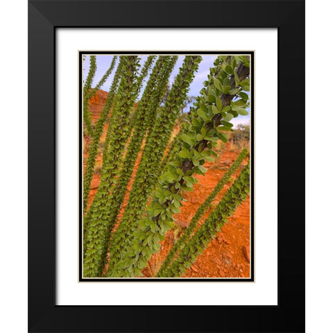 Sedona III Black Modern Wood Framed Art Print with Double Matting by Grayscale