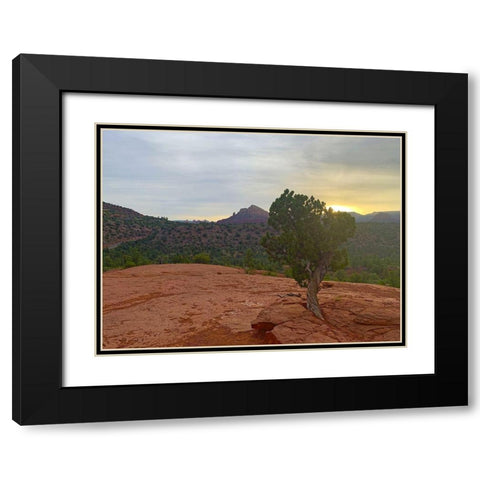 Sedona IV Black Modern Wood Framed Art Print with Double Matting by Grayscale