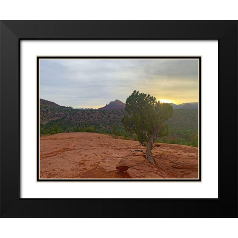 Sedona IV Black Modern Wood Framed Art Print with Double Matting by Grayscale