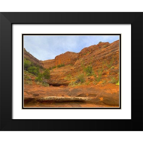 Sedona V Black Modern Wood Framed Art Print with Double Matting by Grayscale