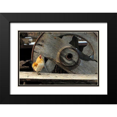 Cock of the Walk Black Modern Wood Framed Art Print with Double Matting by Popcorn