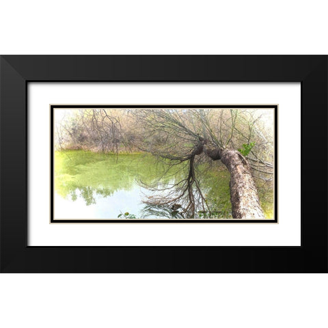 Pair of Mallards on Water Black Modern Wood Framed Art Print with Double Matting by Tenoever, William