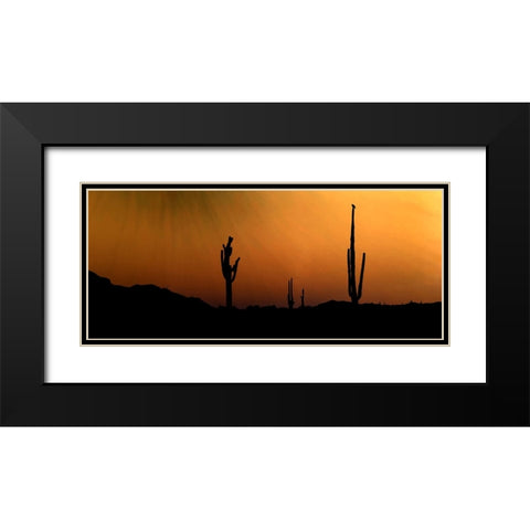 CopperSkies Black Modern Wood Framed Art Print with Double Matting by Tenoever, William