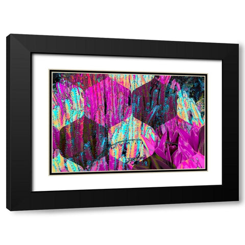 Hexaflora1 Black Modern Wood Framed Art Print with Double Matting by Tenoever, William
