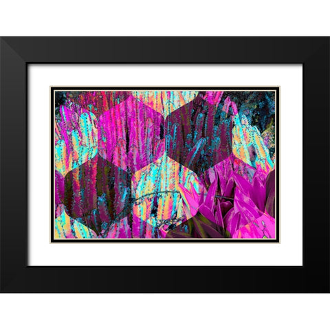 Hexaflora1 Black Modern Wood Framed Art Print with Double Matting by Tenoever, William
