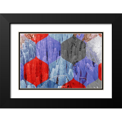 Hexaflora3 Black Modern Wood Framed Art Print with Double Matting by Tenoever, William