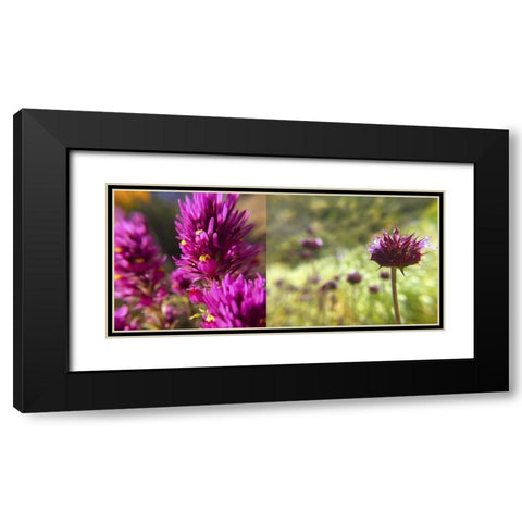 Wildflowers Collage I Black Modern Wood Framed Art Print with Double Matting by Popcorn