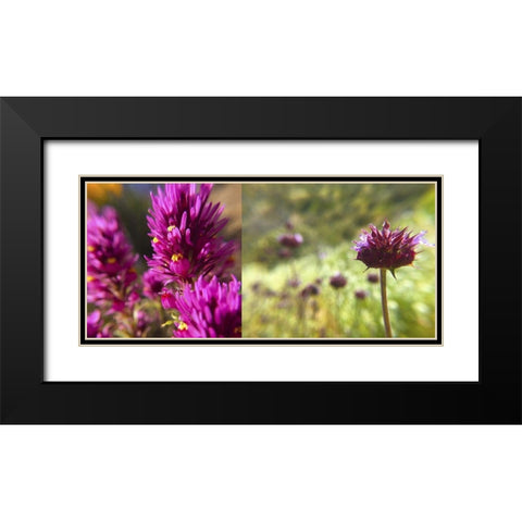 Wildflowers Collage I Black Modern Wood Framed Art Print with Double Matting by Popcorn