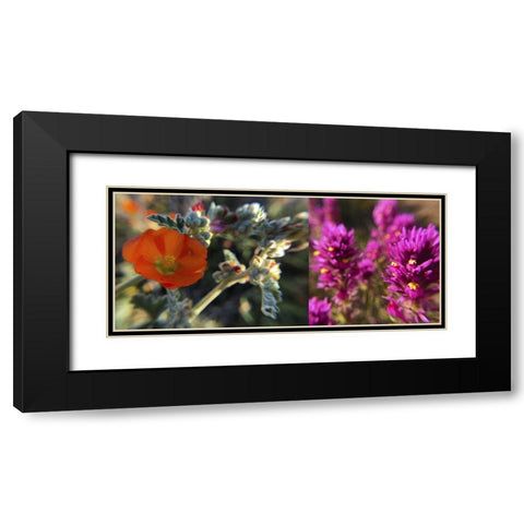Wildflowers Collage III Black Modern Wood Framed Art Print with Double Matting by Popcorn