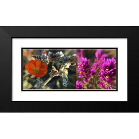 Wildflowers Collage III Black Modern Wood Framed Art Print with Double Matting by Popcorn