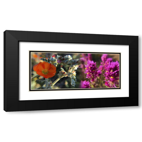 Wildflowers XIII, Collage Black Modern Wood Framed Art Print with Double Matting by Popcorn