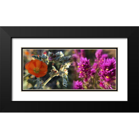 Wildflowers XIII, Collage Black Modern Wood Framed Art Print with Double Matting by Popcorn