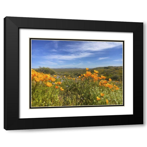 Wildflowers XXVIII Black Modern Wood Framed Art Print with Double Matting by Popcorn