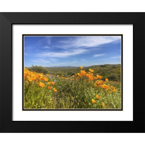 Wildflowers XXVIII Black Modern Wood Framed Art Print with Double Matting by Popcorn